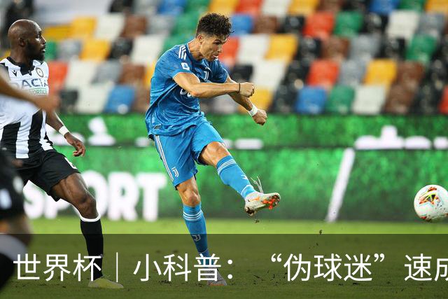 世界杯｜小科普：“伪球迷”速成手册